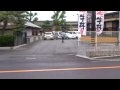 TOYOTA Alphard アルファード 大型3列 シート ミニバン とし 車 三重