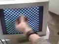 videos de Gaussing