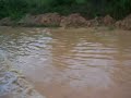 Ssangyong Musso Flood Water Crossing