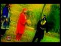 tribute to  kashmiri  people song