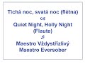 Tichá noc, svatá noc (flétna)