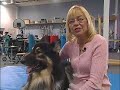 2008 Animal Hall of Fame - Therapy