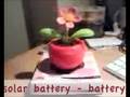 videos de Happiness is...