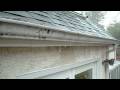 Clogged gutter Clogged gutter