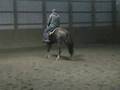 Kist With A Twist - 2 y/o In Reining Training