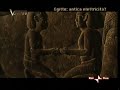 Voyager - Egitto: antica elettricit�? - Lampade di dendera