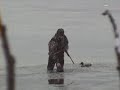 chasse aux canards