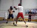 easy sparr easy sparr