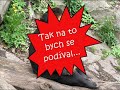 zoo jihlava pozvánka