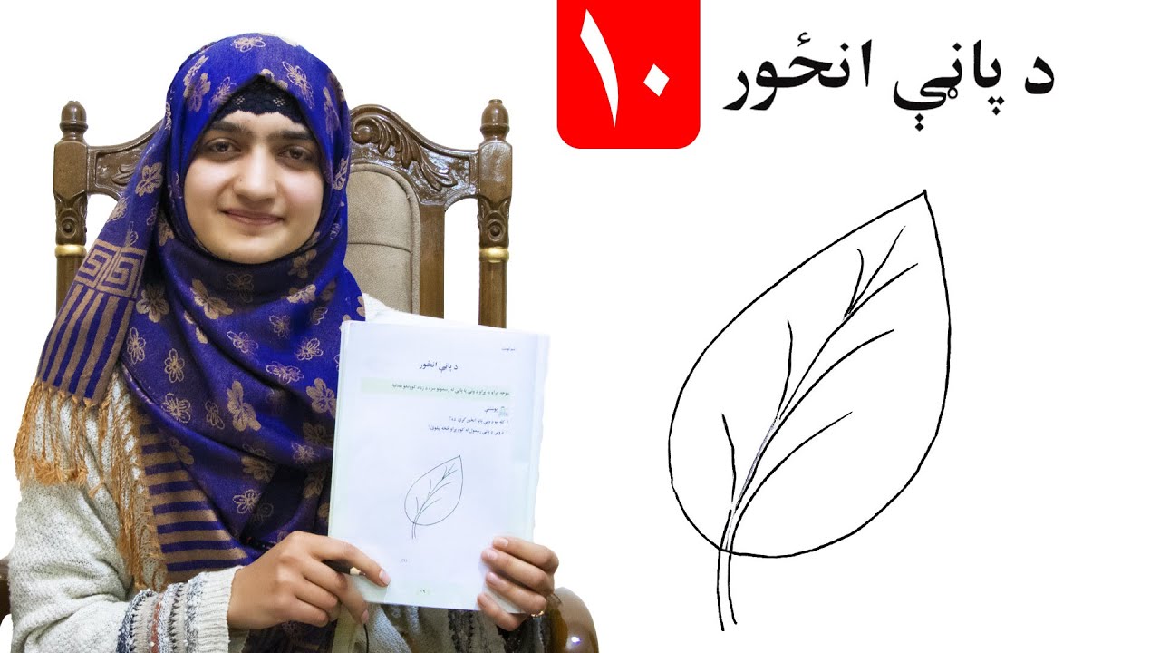 Drawing of the Leaf - LESSON 10 _ Art Skill _ Grade 1 / د پاڼې انځور - د هنر مضمون - لومړی ټولګی