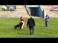 Trailer FCI World Championship 2012