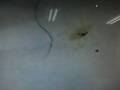 �����᤯ ����ߡʥ����ޥ���ߡ�:YouTube������=11,904��