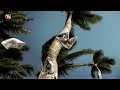 LOST - Season 6 - HD Promo From Israel