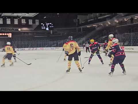 24 Elite Prospects Pre-Draft Showcase, - Michigan State University - Munn Arena - Played Defense - # 5 Blue