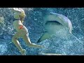 Shark Attack!!!!! Shark Attack!!!!!