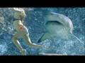 Shark Attack!!!!! Shark Attack!!!!!