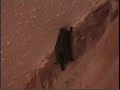 Going Batty