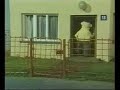 Sąsiedzi - Kluczyk