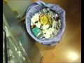 u mä | efecte dòmino  campanya reciclatge 2008    part1
