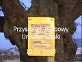 Kolej - przystanek osobowy Unisław Śląski