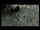 Minus Distance Trailer 2