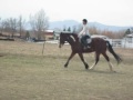 Click here to watch this video Bella 2011