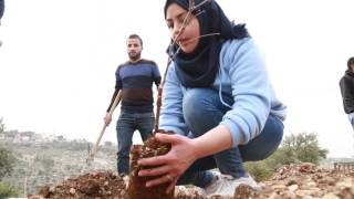 مسار كفر نعمة (قرية الشباب البيئية ) مسار كفر نعمة (قرية الشباب البيئية )