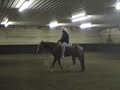 Always Heaven Sent- 2005 AQHA Gelding By Always The Choice