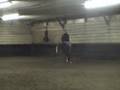 Always Heaven Sent- 2005 AQHA Gelding By Always The Choice
