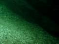 video Sava Bohinjka