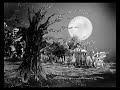 The Black Tree Pre-Production Preview