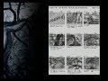 The-Black-Tree-Pre-P