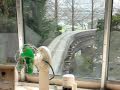 動物園~成田山