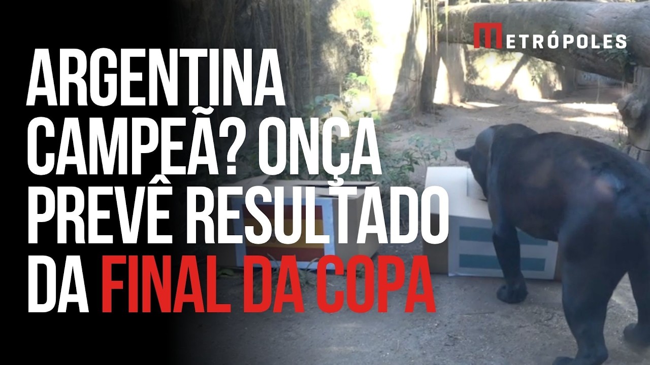 Onça brasileira "prevê" Argentina campeã da Copa do Mundo