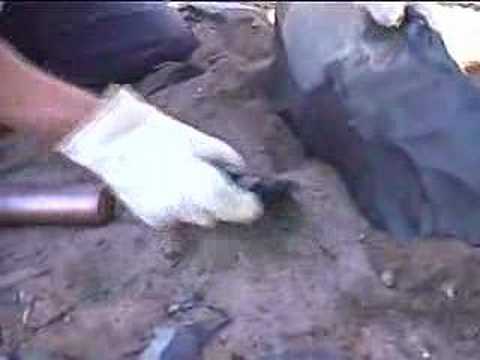 22" Basalt Biface - Field spalling ...