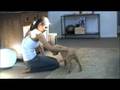 videos de Puppy Fall 08 Learning Fetch