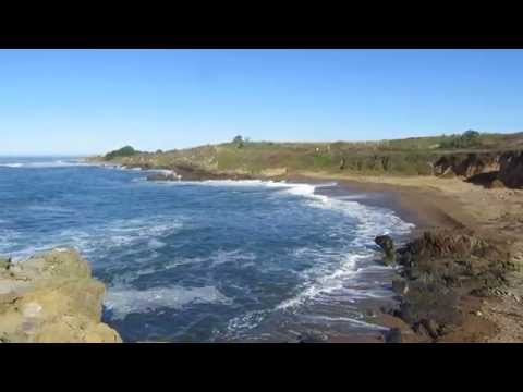 Video for Pebble Beach at Bean Hollow State Beach