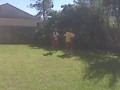 Devin and Cody boxing 2