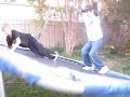 Guy Falls off Trampoline