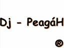 Samin - Heater Remix - Dj PeagaH