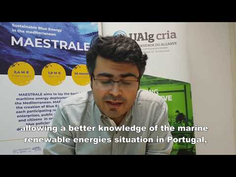 La importancia del Proyecto MAESTRALE. Voces del Mediterráneo