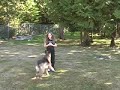 Precision Dogs Training System - Rosalee & Pica Precision Dogs Training System - Rosalee & Pica