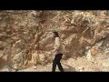 Death By Killer Ants