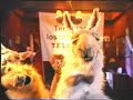La llama que llama 16 - Babe