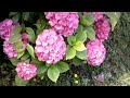 i8910 HD macro video