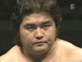 Hashimoto vs. Choshu IWGP \