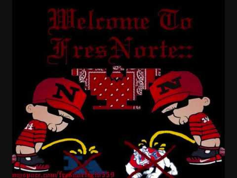 nortenos 14