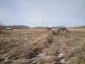 videos de Truck pull out x3 