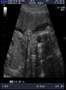 Introducing....Laura Grace Nelken