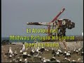 Mar Sintético
